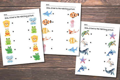 Printable Matching Worksheet
